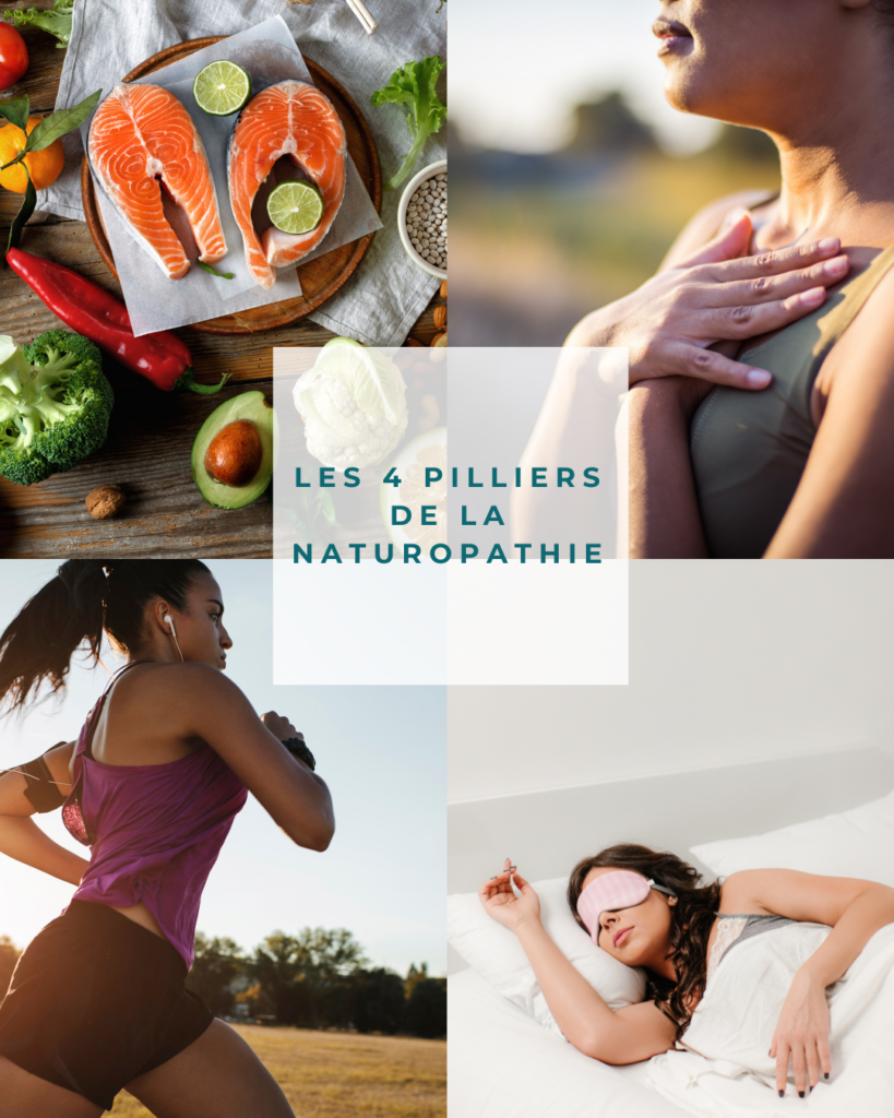 Les 4 pilliers de la naturopathie